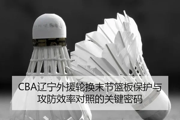 liao-ning-wai-yuan-lun-huan-mo-jie-lan-ban-bao-hu-yu-gong-fang-xiao-lv-dui-zhao-de-guan-jian-mi-ma-2-383.jpg